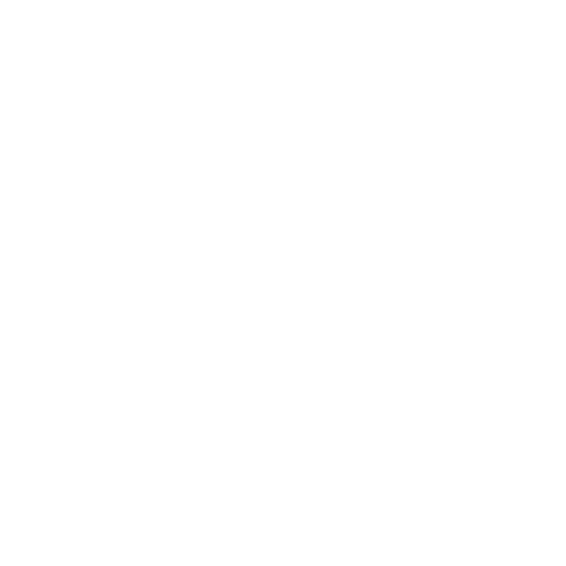 WordPress Hosting